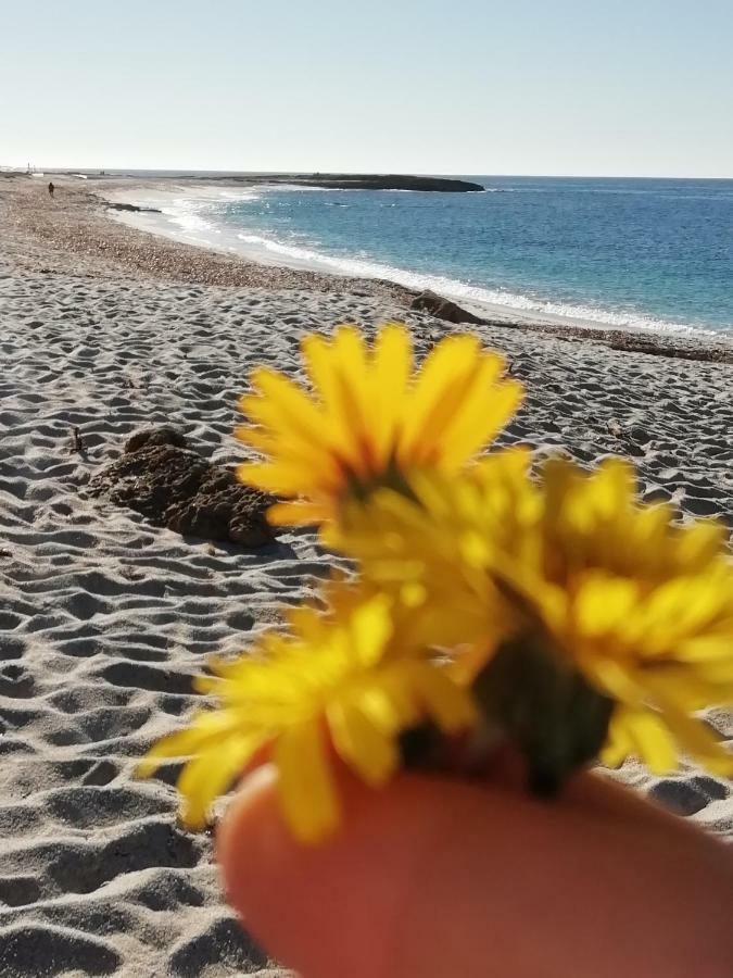 Sardinia For You Oristano Kültér fotó